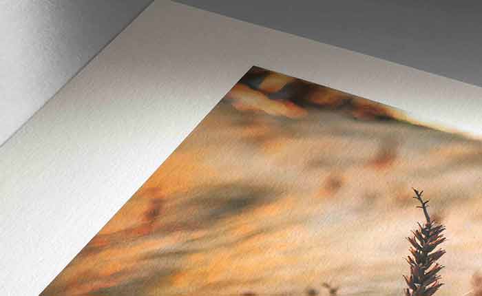 What is Hahnemuhle Photo Paper