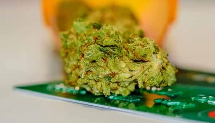 Medical Marijuana Card Tips